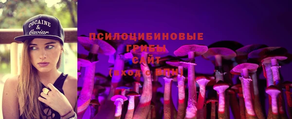 бошки Белокуриха