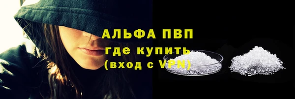 бошки Белокуриха