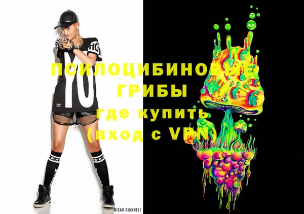 бошки Белокуриха