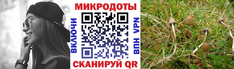 Купить закладки  Алупка  Галлюциногенные грибы Cubensis 